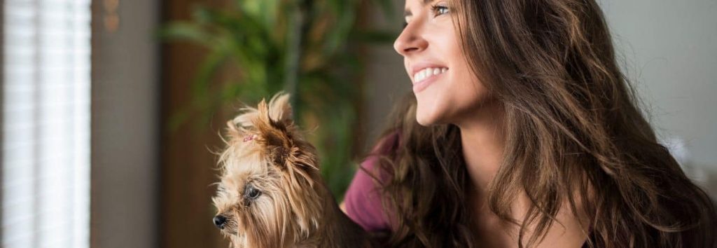 How to Become a Successful House Sitter in Canada: Tips and Tricks