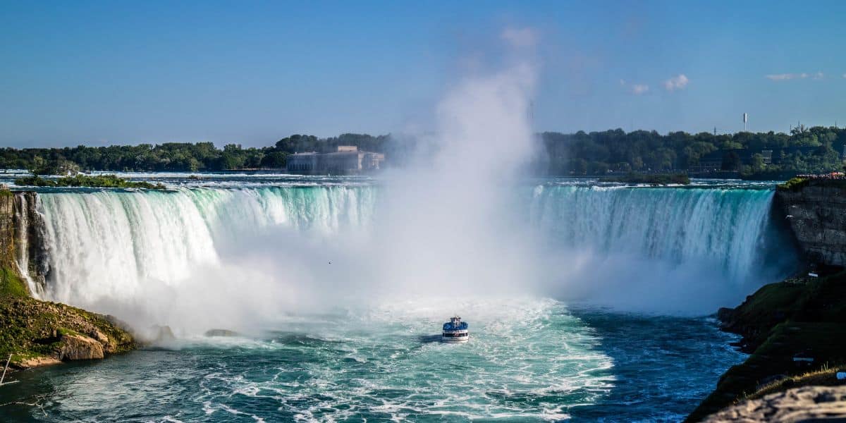 House Sitting in Ontario, Canada