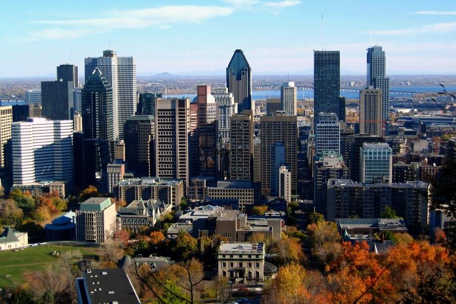 House and pet sitting in Montreal, Quebec 